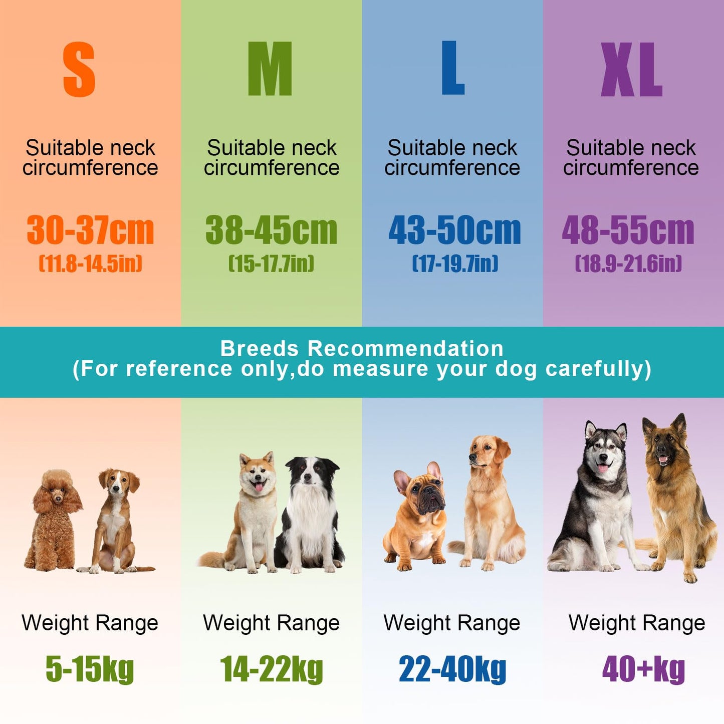 Collier Chien Compatible AirTag – Réfléchissant & Ajustable