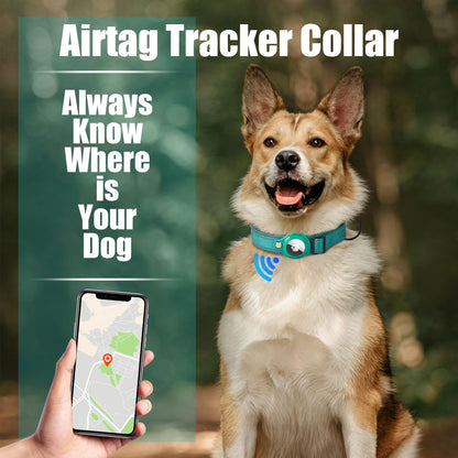 Collier Chien Compatible AirTag – Réfléchissant & Ajustable