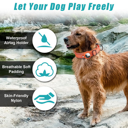 Collier Chien Compatible AirTag – Réfléchissant & Ajustable