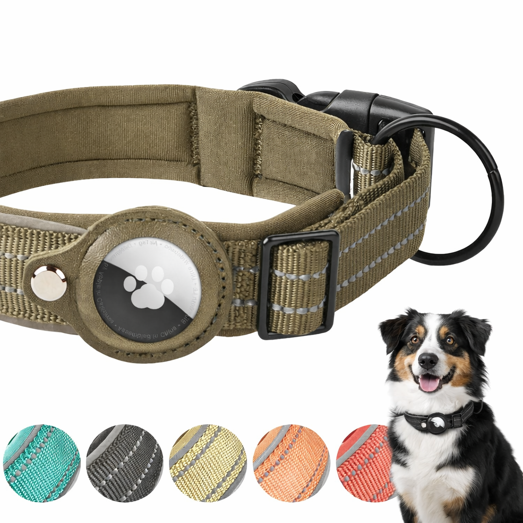 Collier Chien Compatible AirTag – Réfléchissant & Ajustable